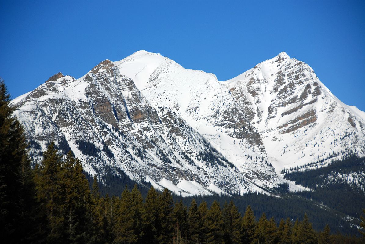 09 Waputik Peak From The Beginning Of The Icefields Parkway